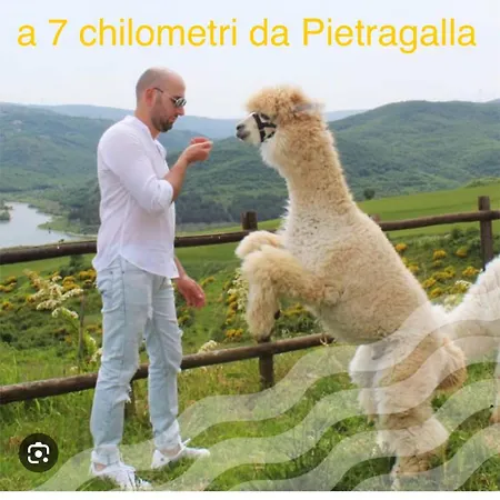 La Casa Dell'artista Di Vittorio Vertone 公寓