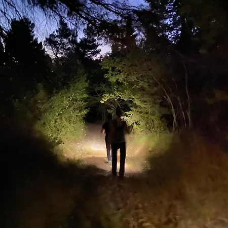 La Casa Dell'artista Di Vittorio Vertone *