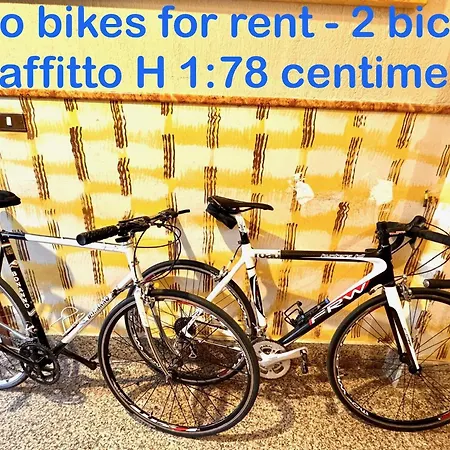 La Casa Dell'artista Di Vittorio Vertone *